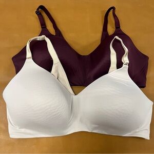 Torrid Curve Cream and Burgundy Women's Bras 40DD